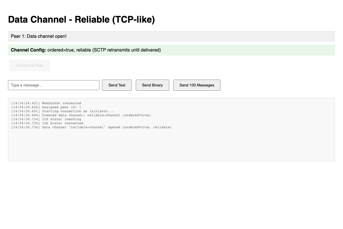 DataChannel (TCP-like)