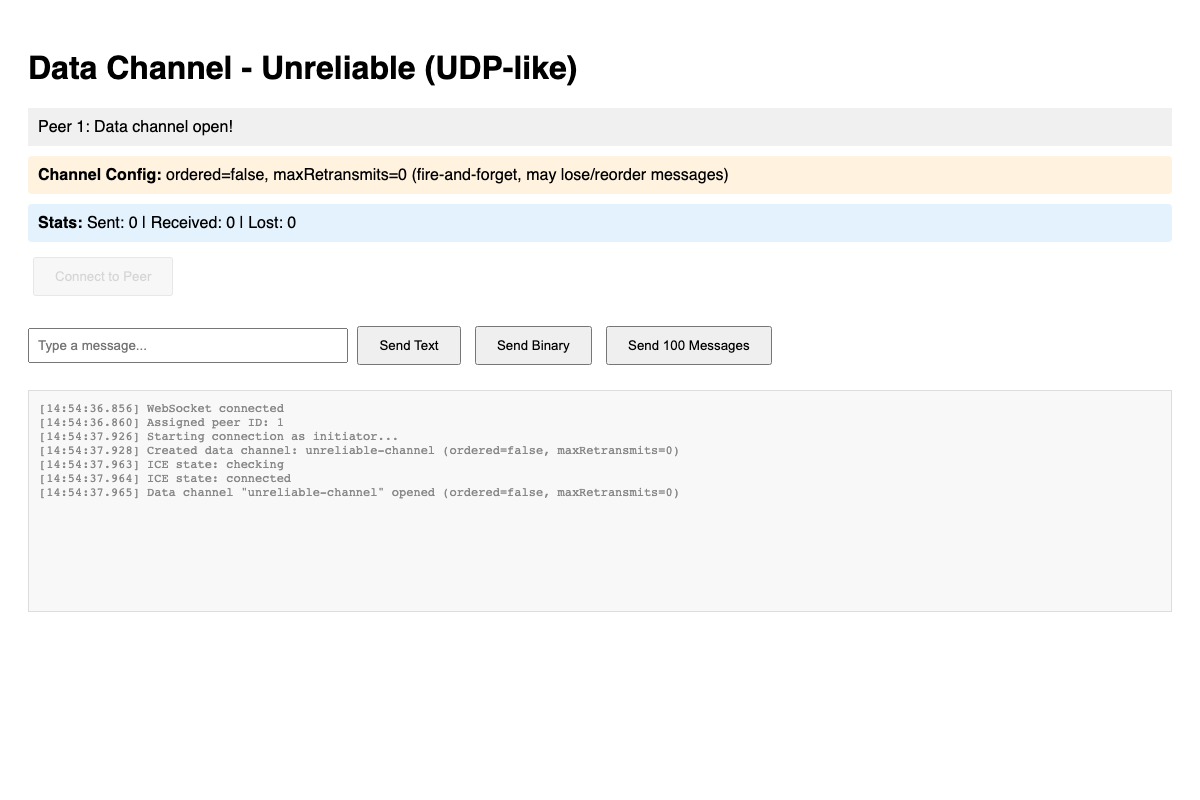 DataChannel (UDP-like)
